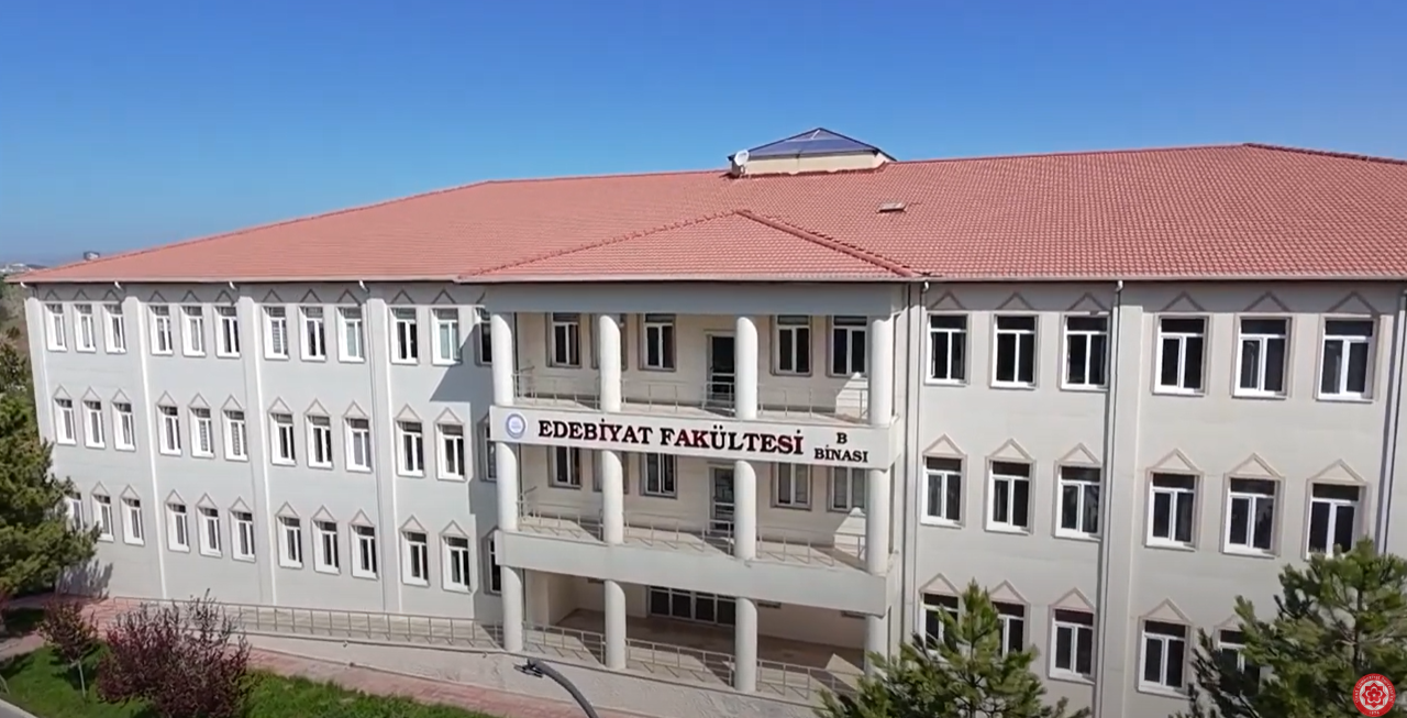 Video Image