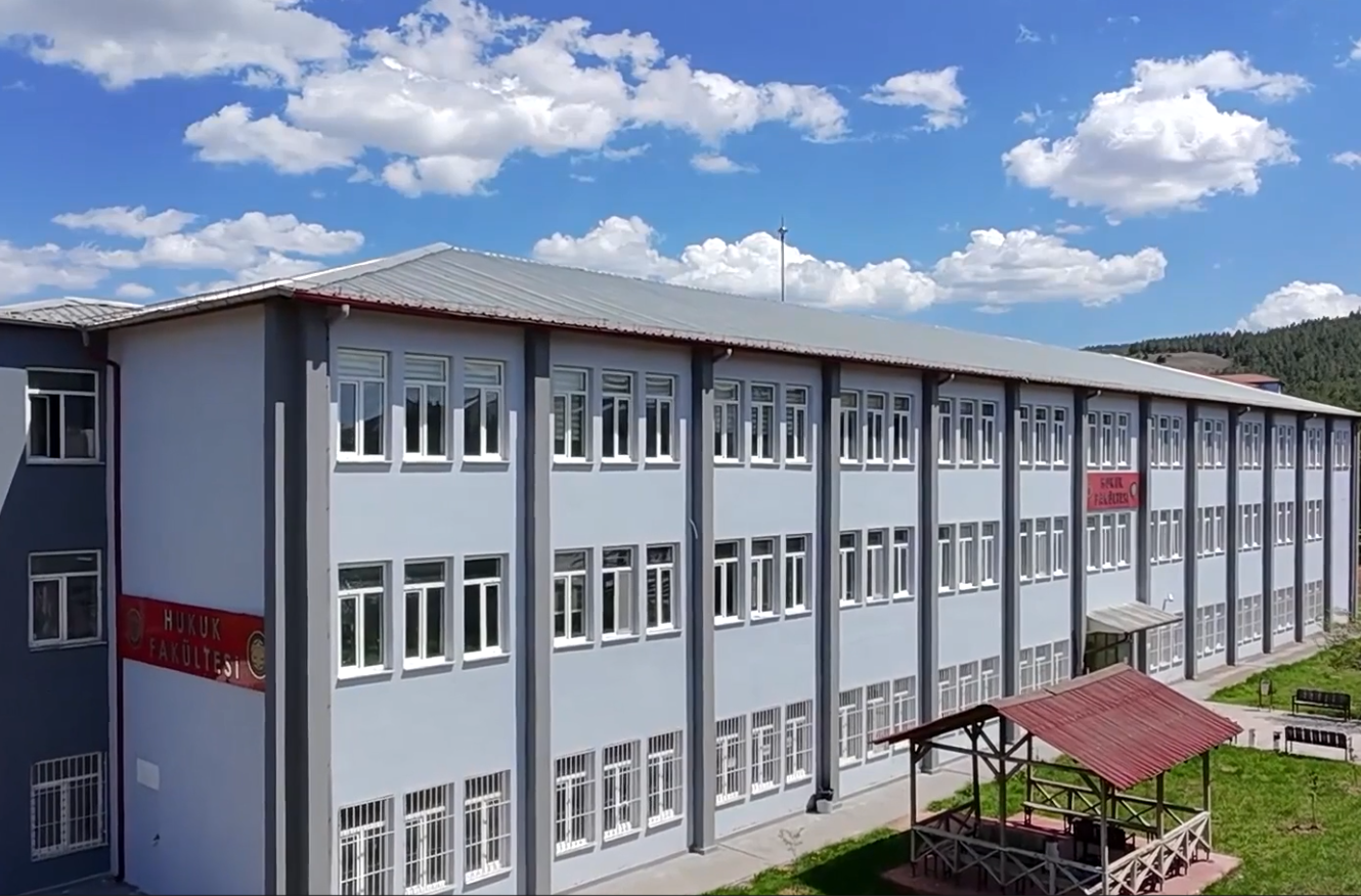Video Image