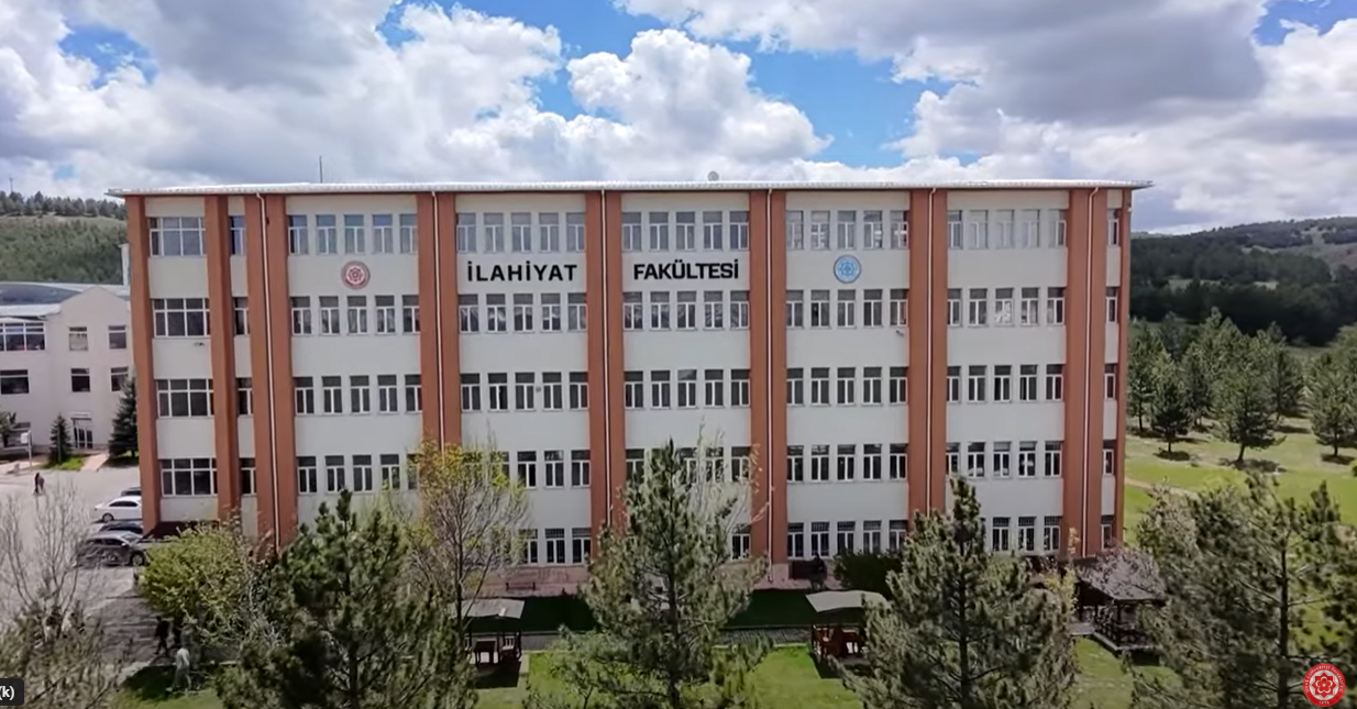 Video Image