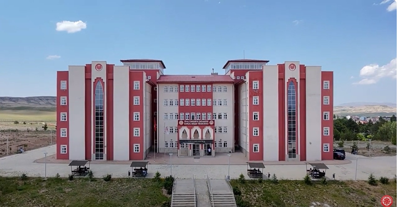 Video Image