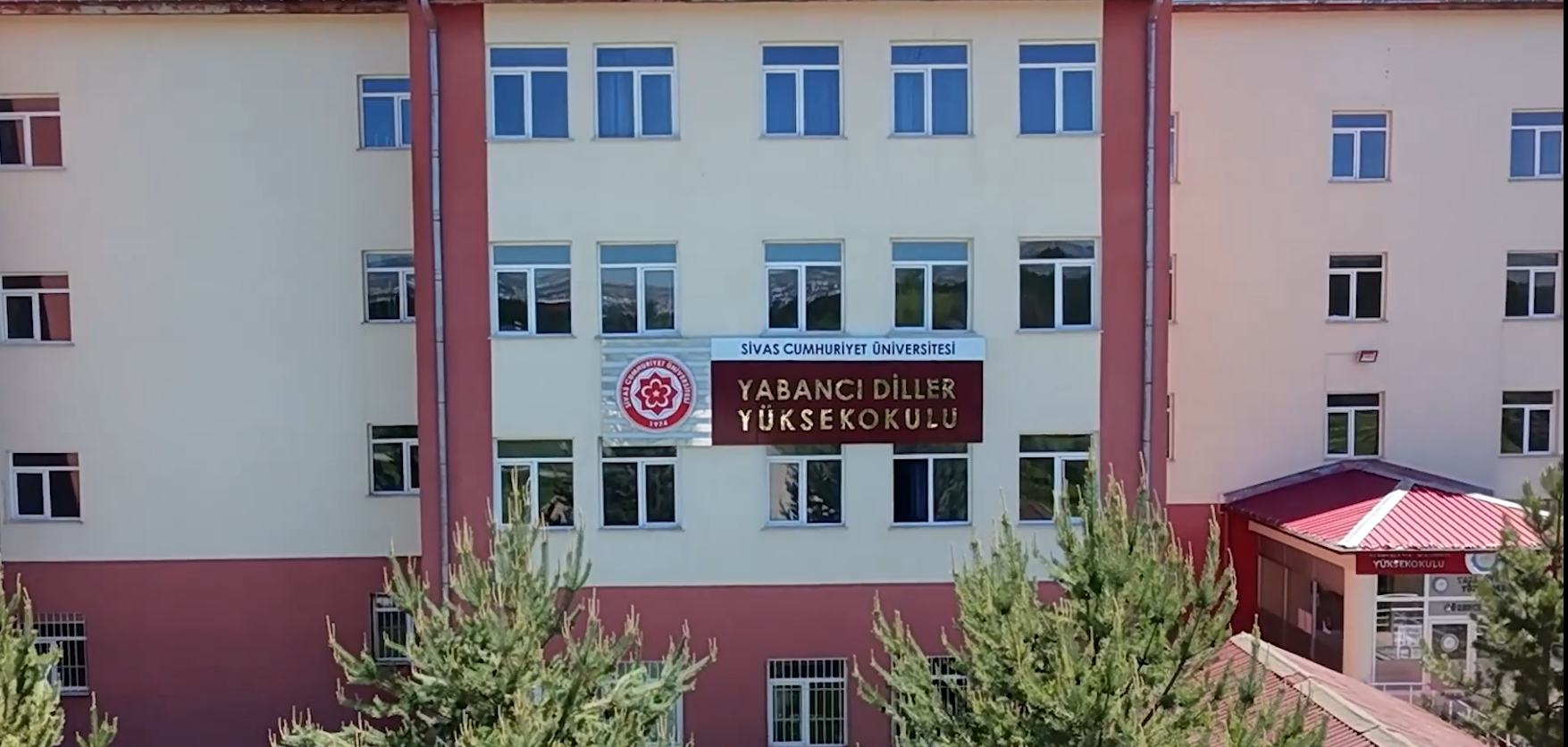 Video Image